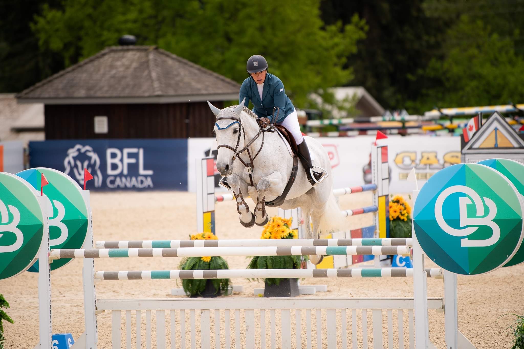Andrea Harris horse jumping coach